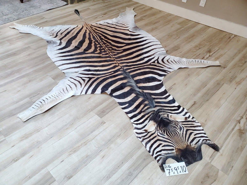 Premium Zebra Skin Rug- P16