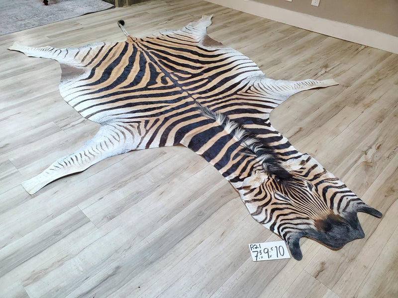 Premium Zebra Skin Rug- P21