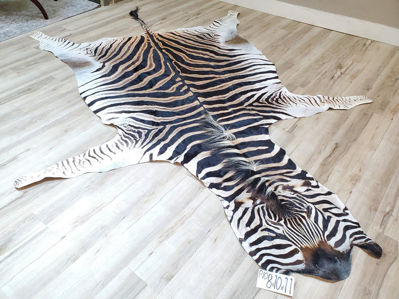 Premium Zebra Skin Rug- P10