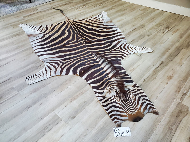 A Grade Zebra Skin Rug- A3