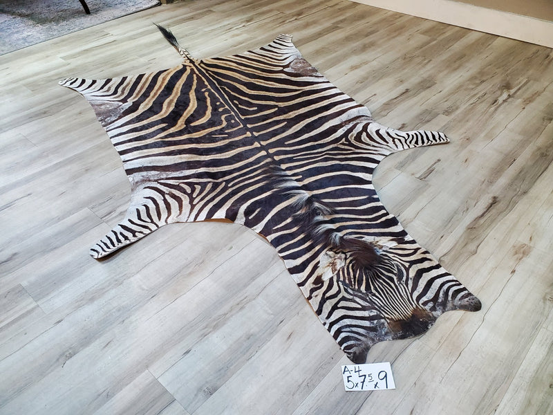 A Grade Zebra Skin Rug- A4