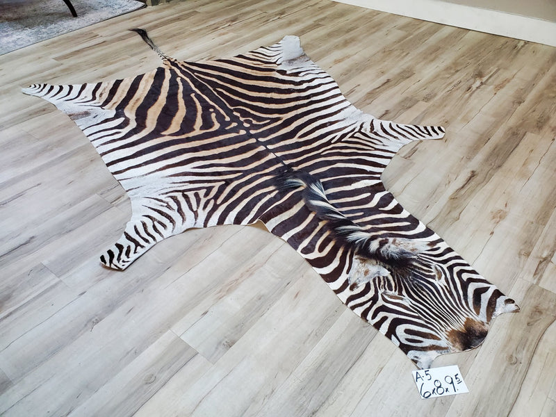 A Grade Zebra Skin Rug- A5