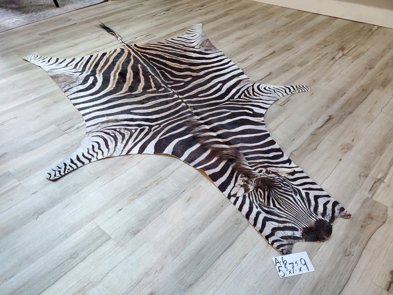 A Grade Zebra Skin Rug- A6