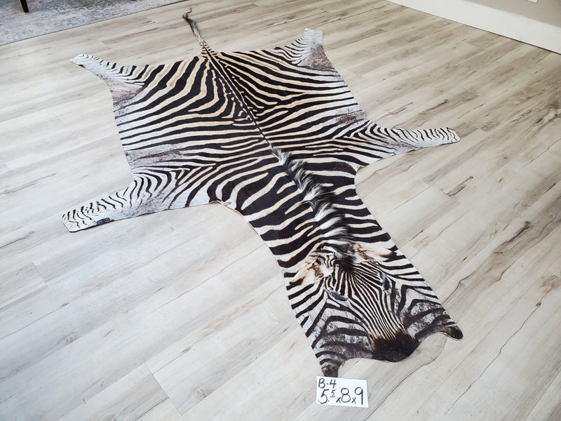 B Grade Zebra Skin Rug- B4