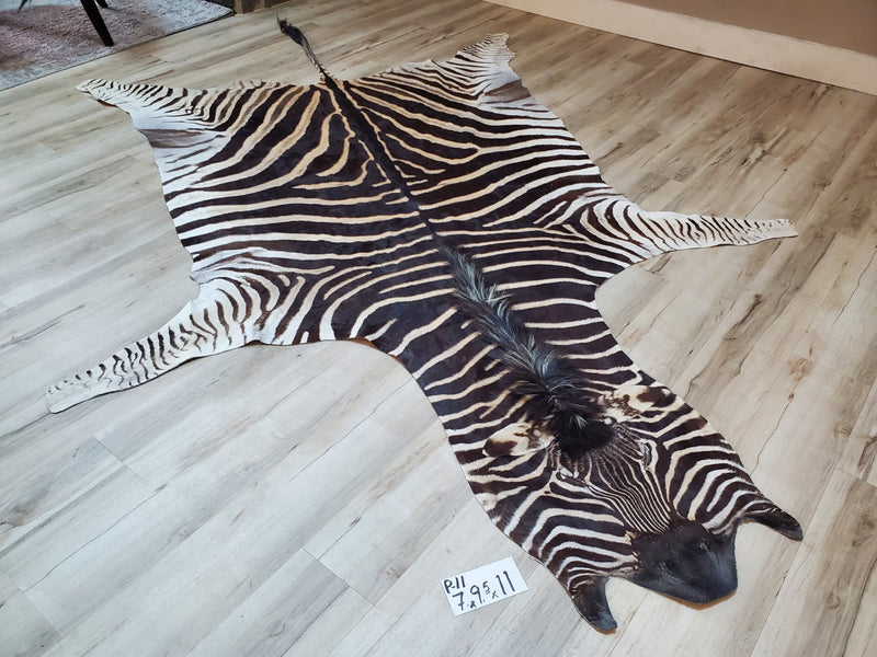 Premium Zebra Skin Rug- P11