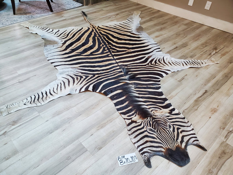 Premium Zebra Skin Rug- P14