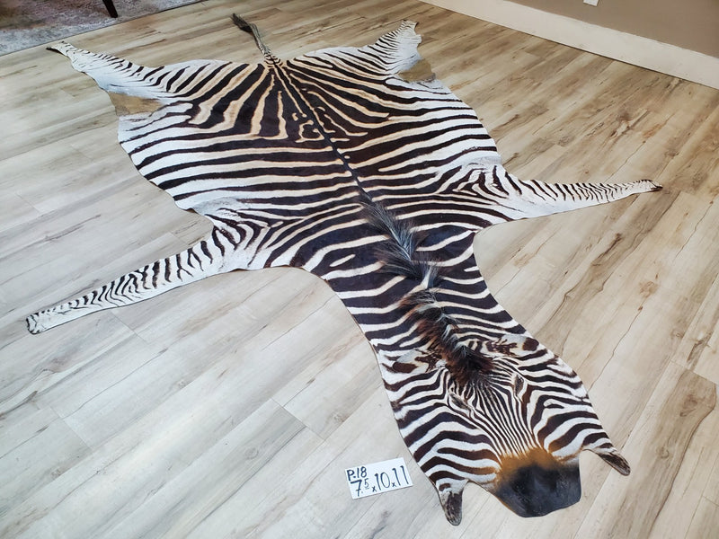 Premium Zebra Skin Rug- P18