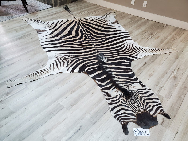 Premium Zebra Skin Rug- P3