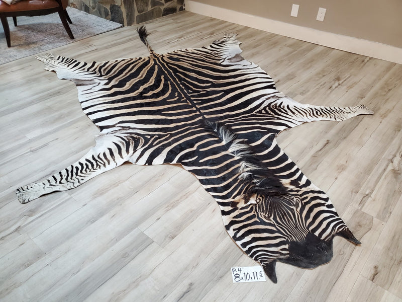 Premium Zebra Skin Rug- P4