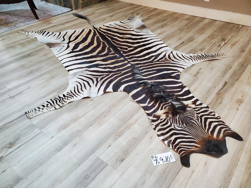 Premium Zebra Skin Rug- P6