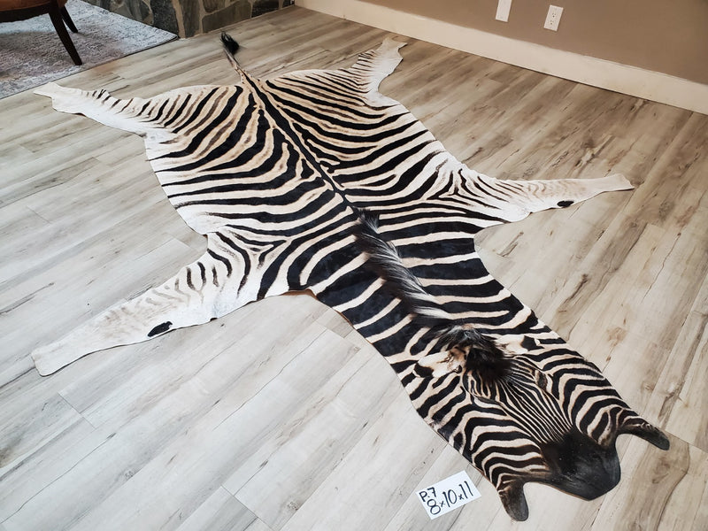 Premium Zebra Skin Rug- P7