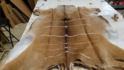 Real deer hide online blanket